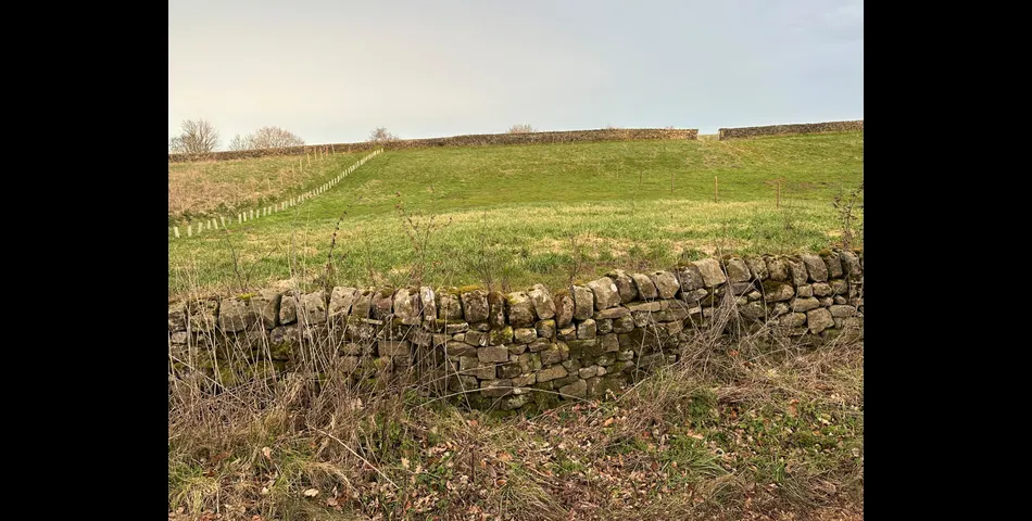 Approximately 0.43 acres of land with development potential (STP), within the convenient semi-rural hamlet of Farnah Green.