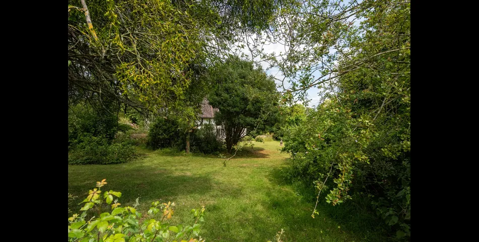Kings Orchard