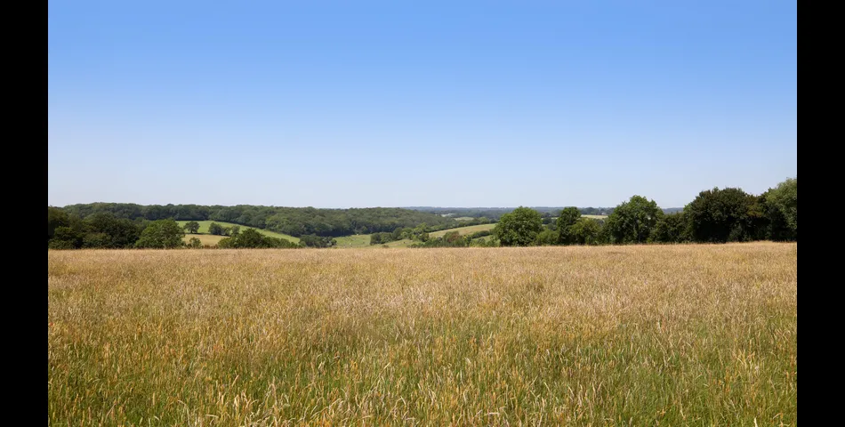 A flexible block of amenity land extending to 14.97 acres