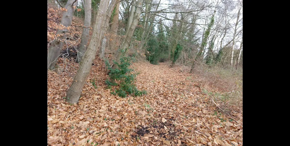 About 4.3 acres of tree covered former railway embankment