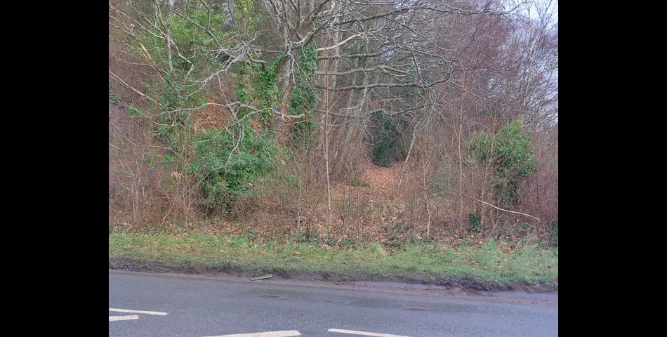 About 4.3 acres of tree covered former railway embankment