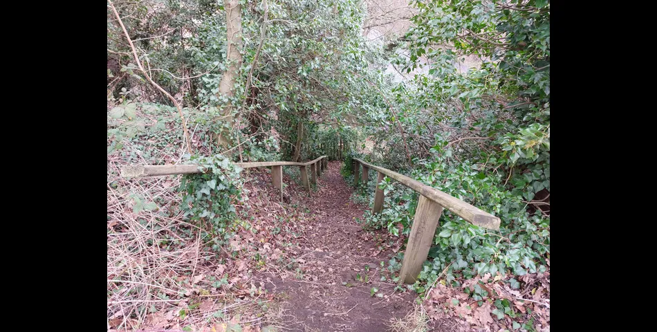 About 4.3 acres of tree covered former railway embankment