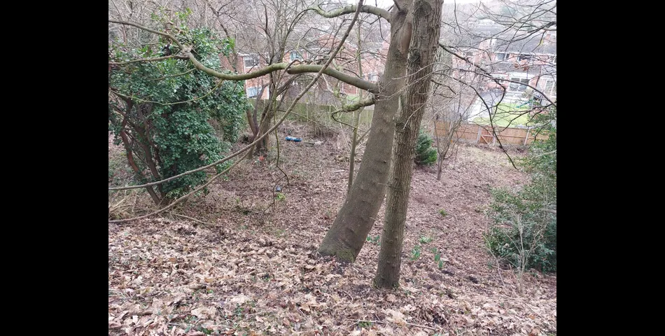 About 4.3 acres of tree covered former railway embankment