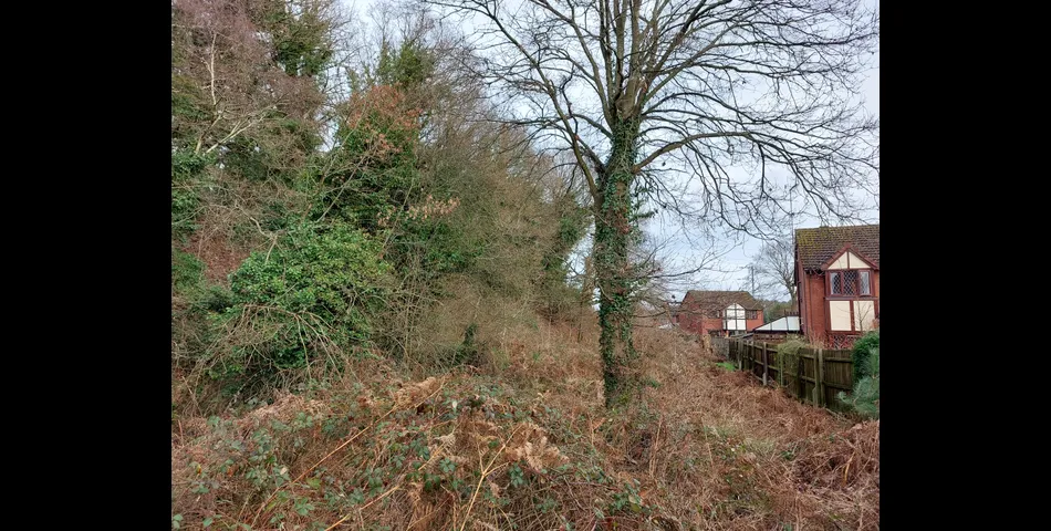 About 4.3 acres of tree covered former railway embankment