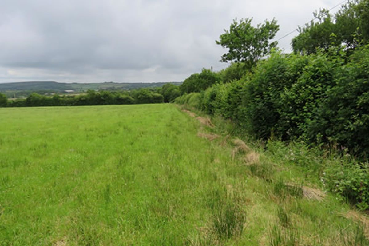 Plot of Land