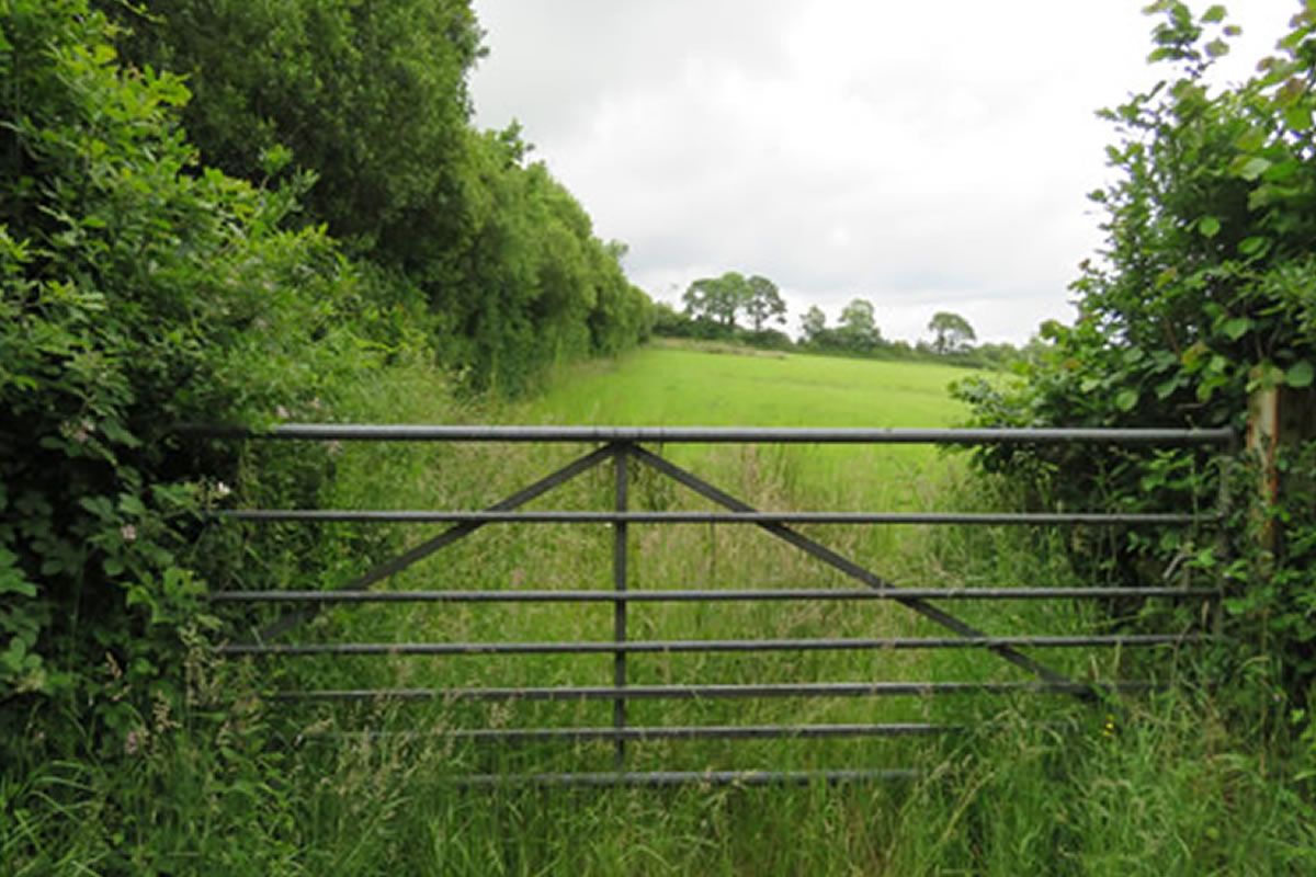 Plot of Land