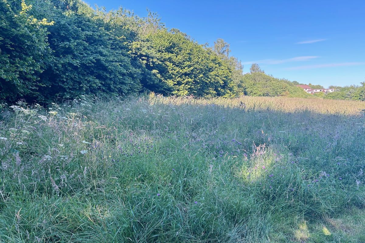 Plot of Land