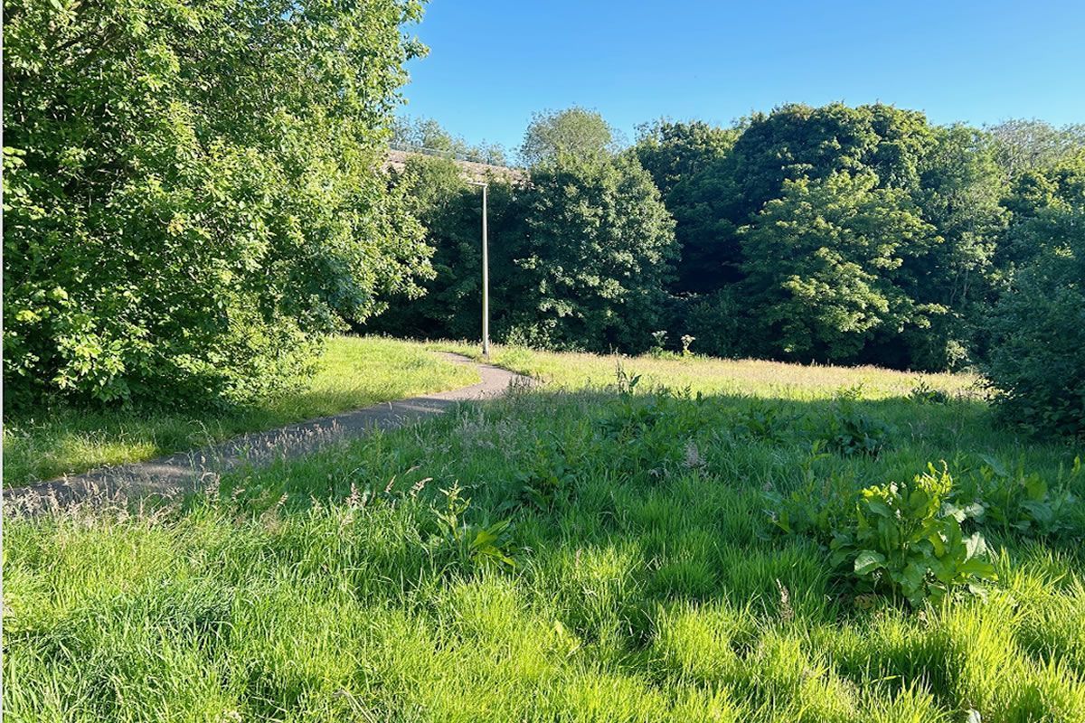 Plot of Land