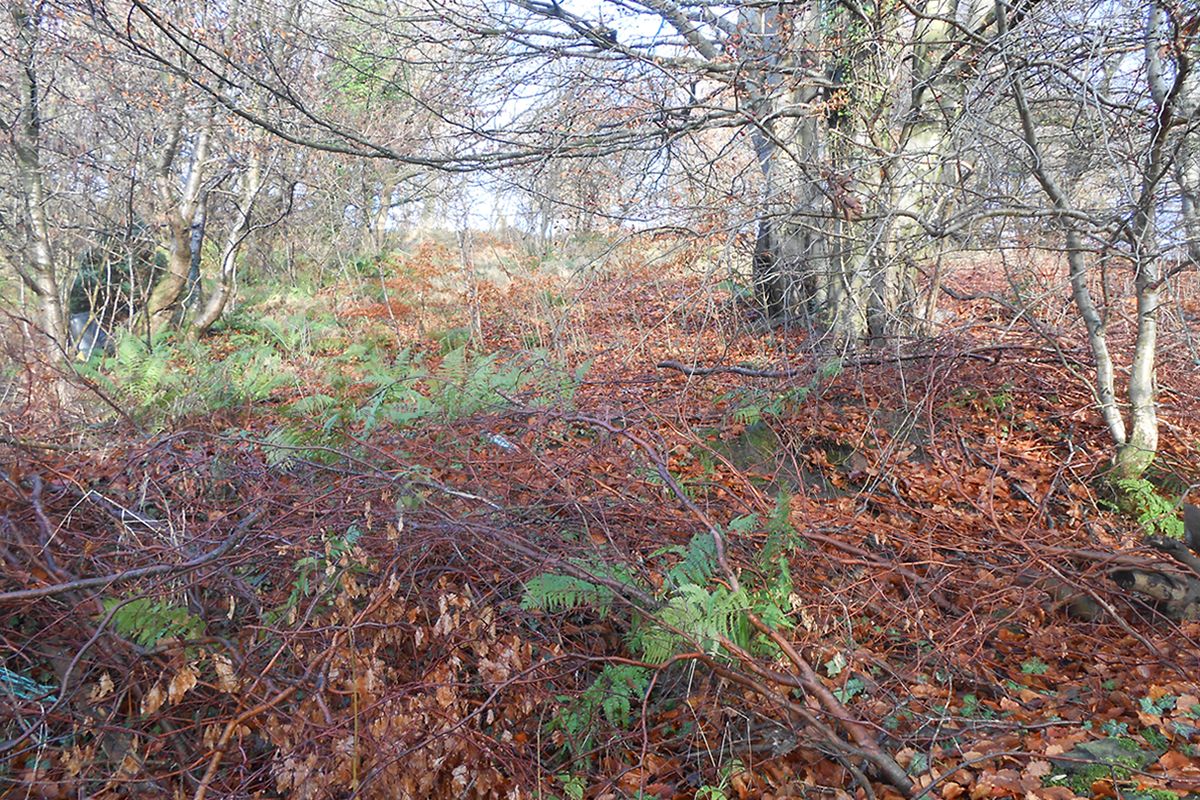 Plot of Land