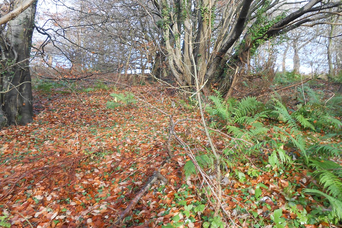 Plot of Land