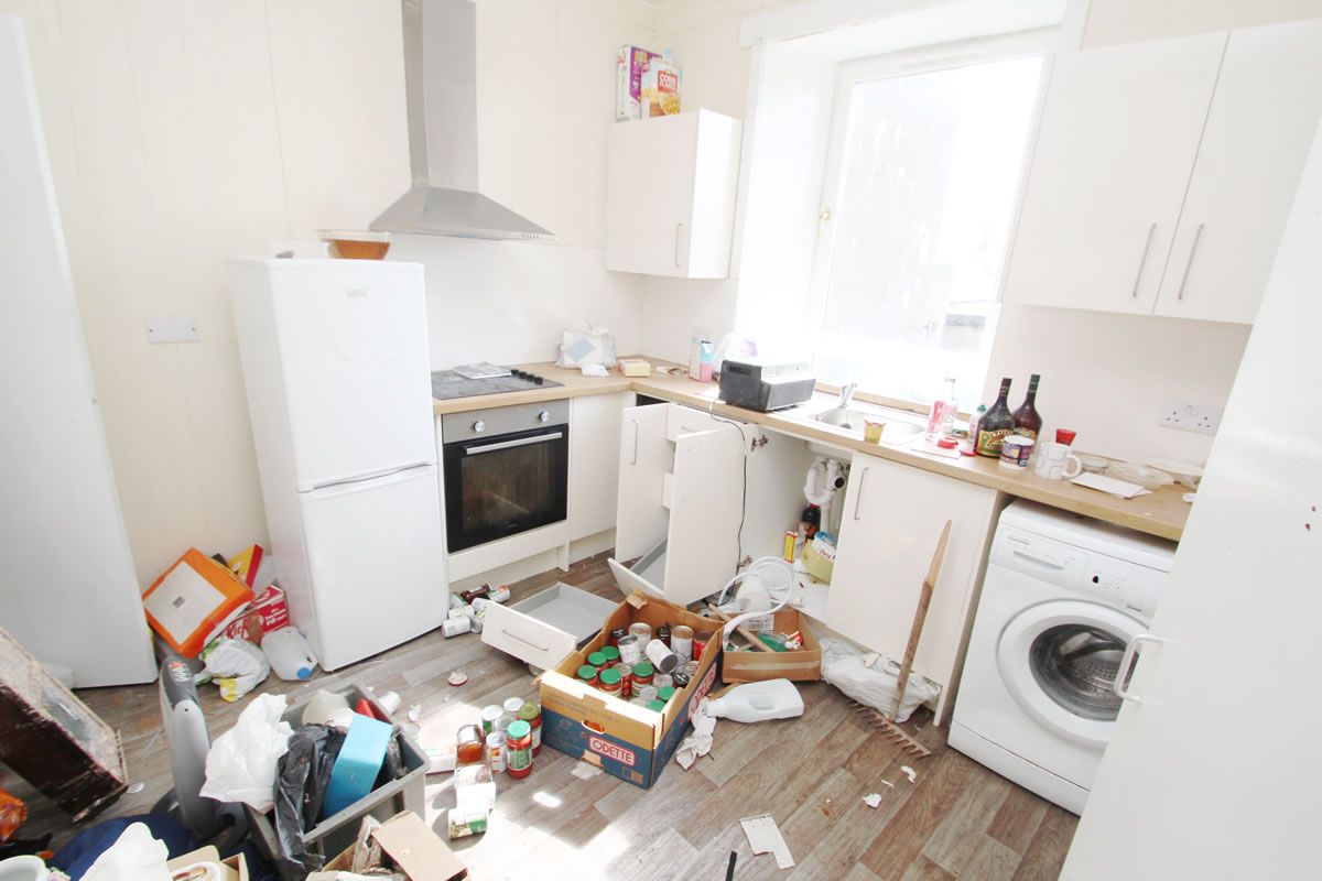 1 Bedroom   Flat