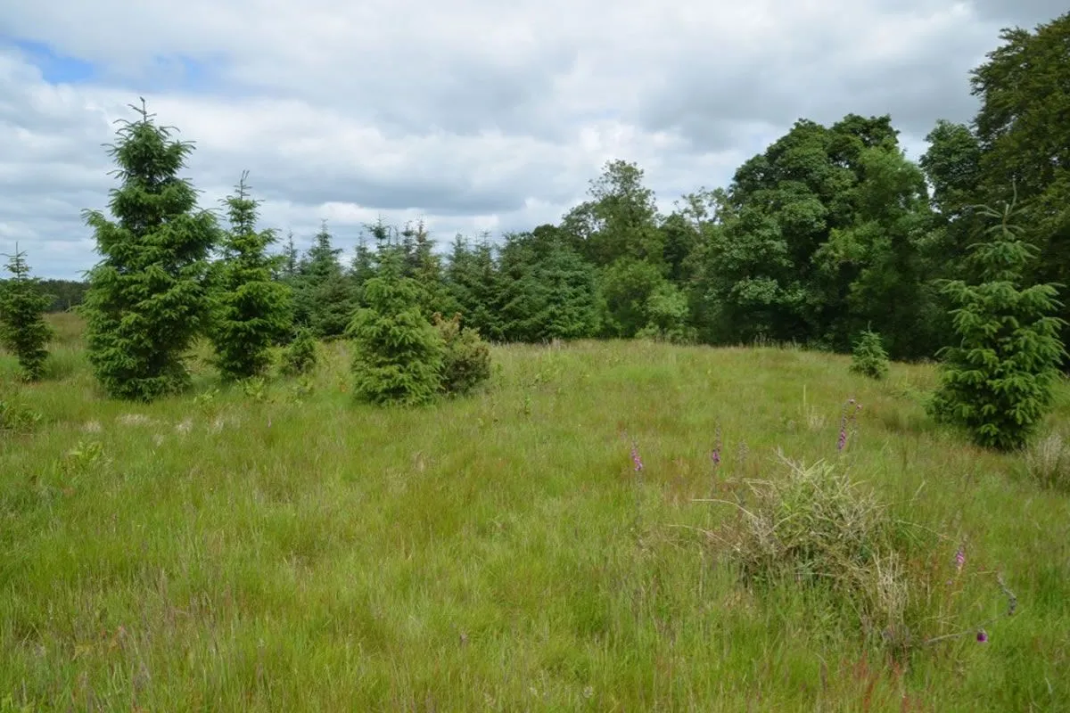 Plot of Land
