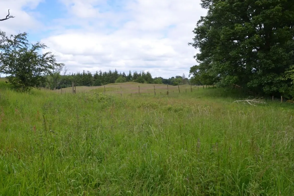 Plot of Land