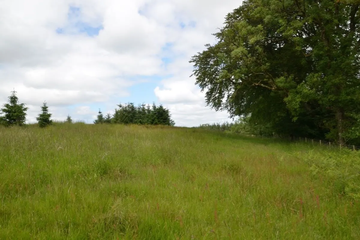 Plot of Land