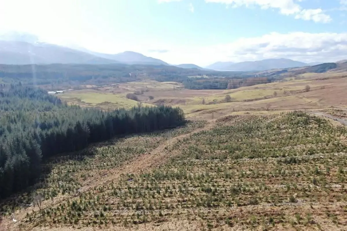 Plot of Land