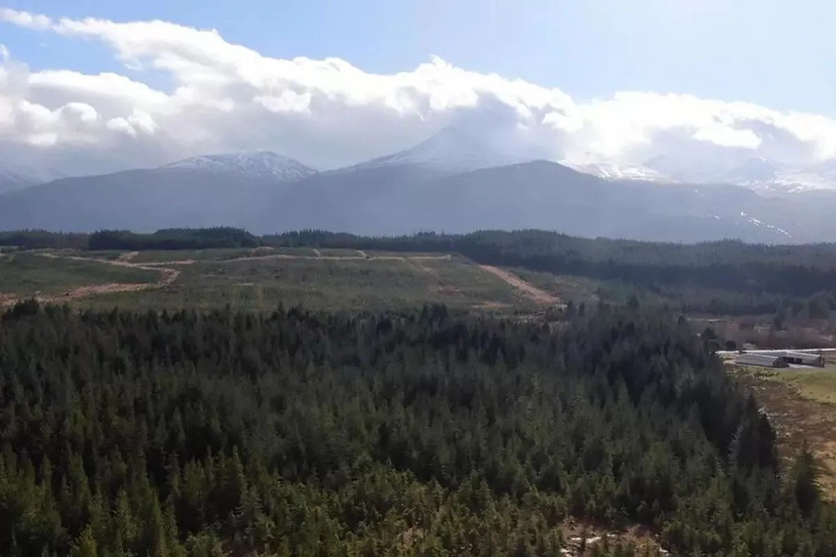 Plot of Land