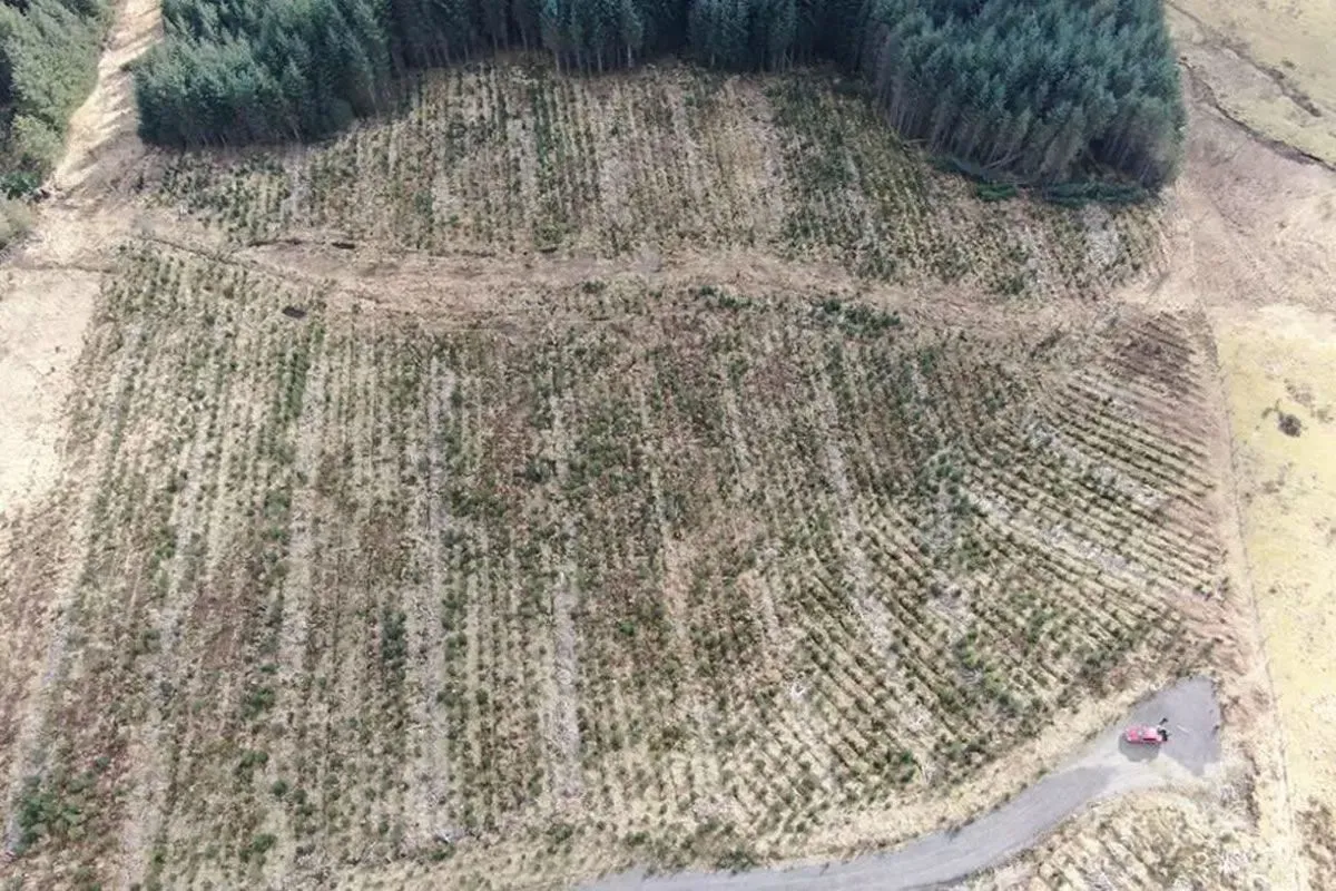 Plot of Land