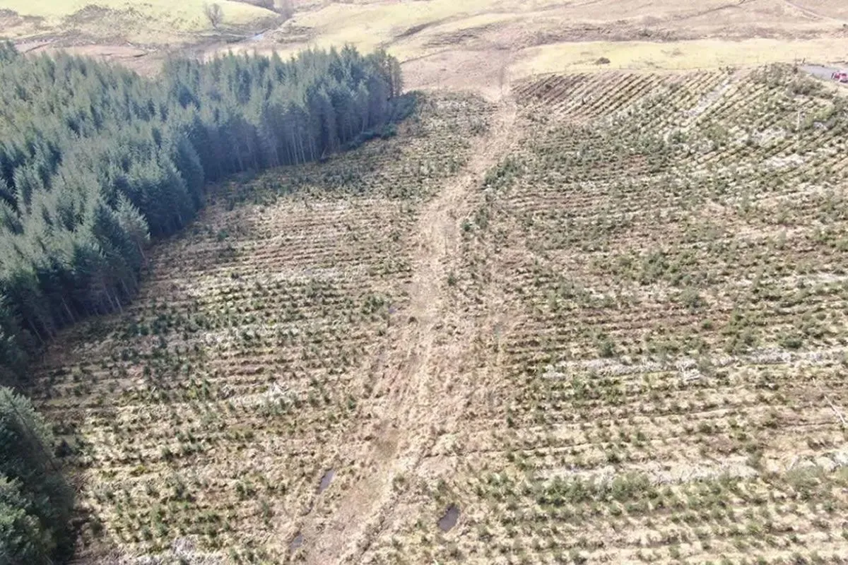 Plot of Land
