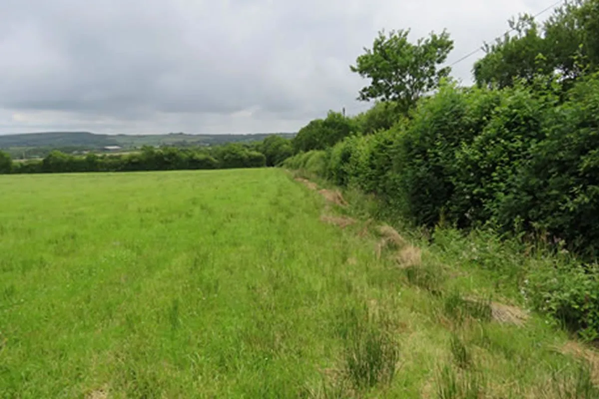 Plot of Land