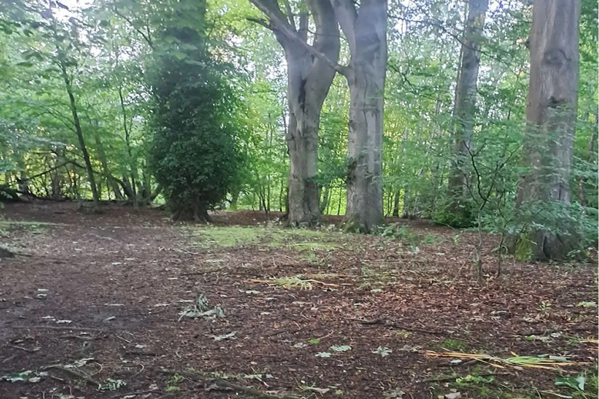 Plot of Land