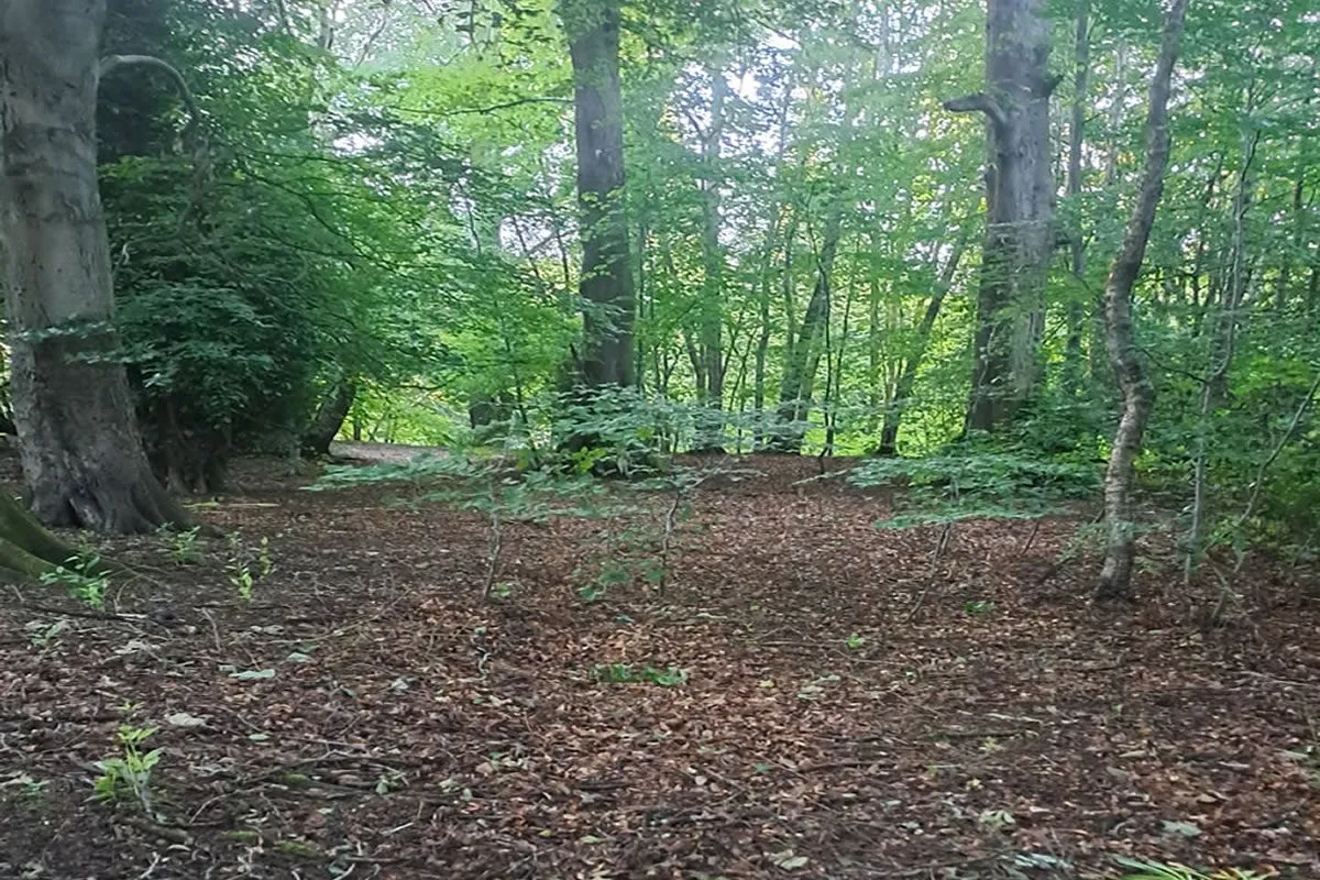 Plot of Land