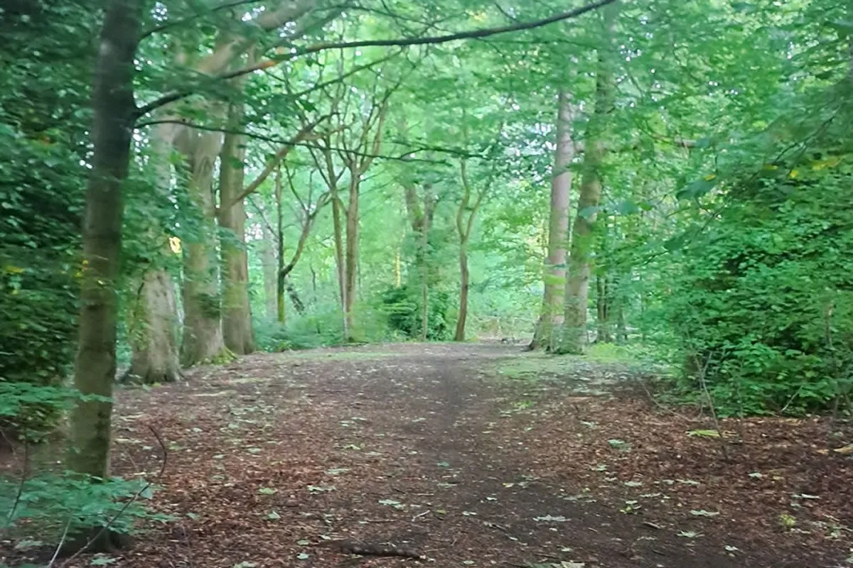 Plot of Land