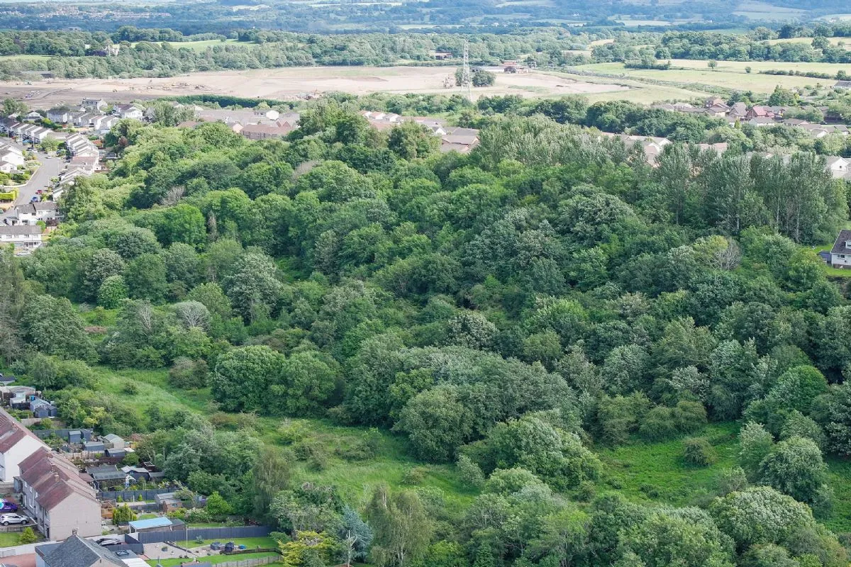 Plot of Land