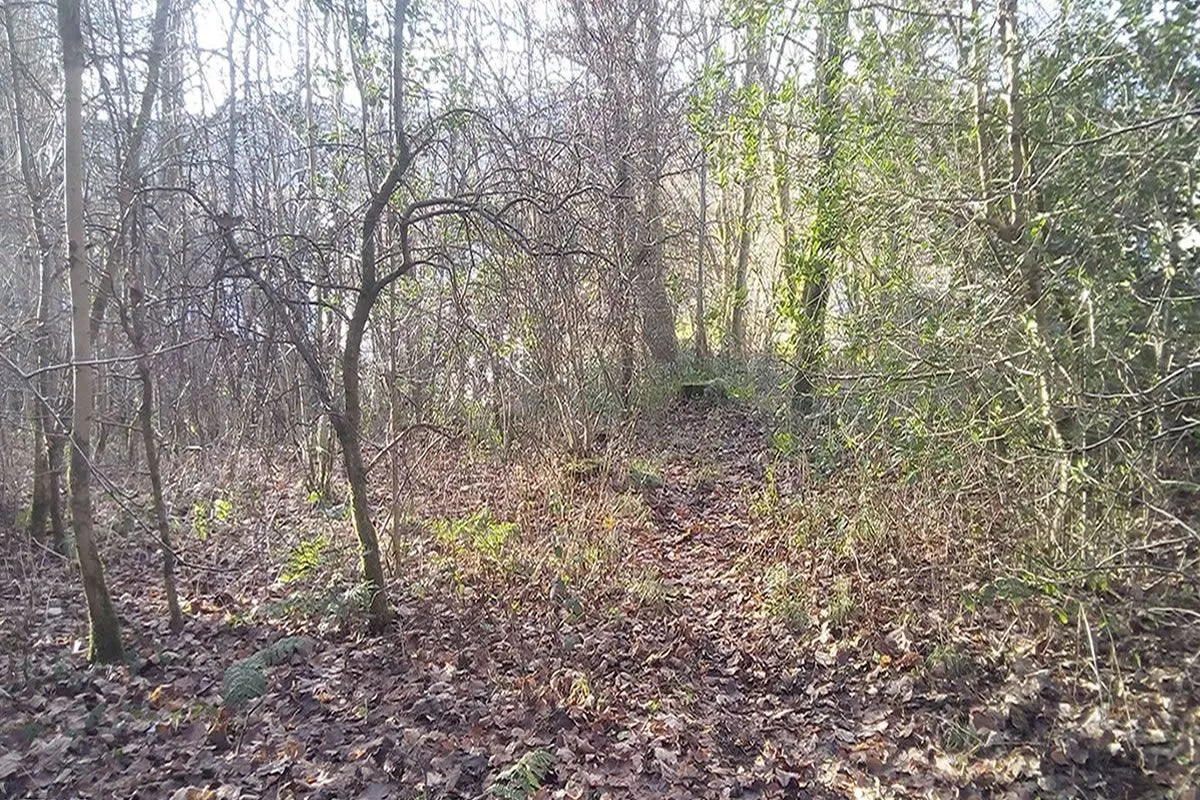 Plot of Land