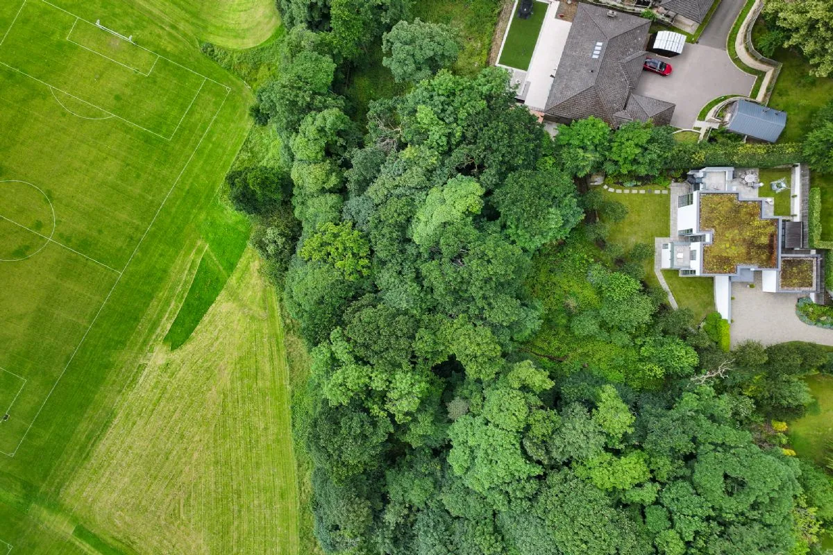 Plot of Land