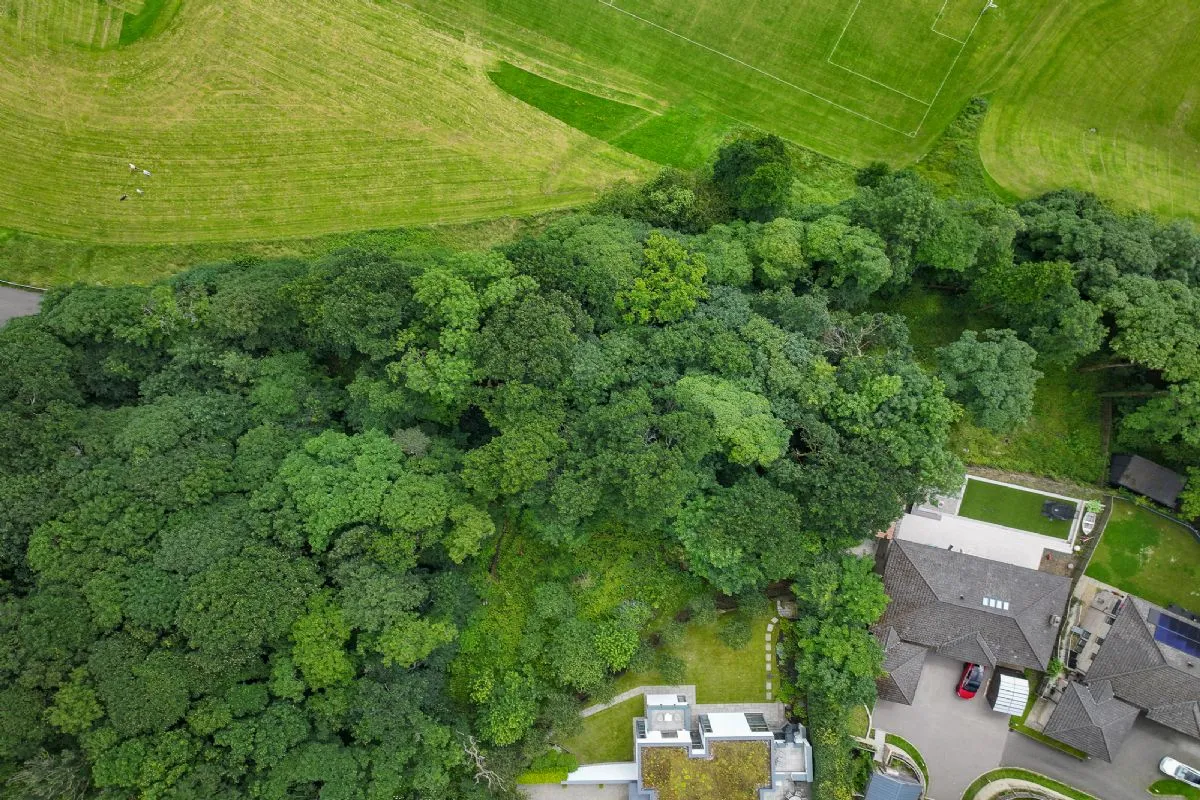 Plot of Land