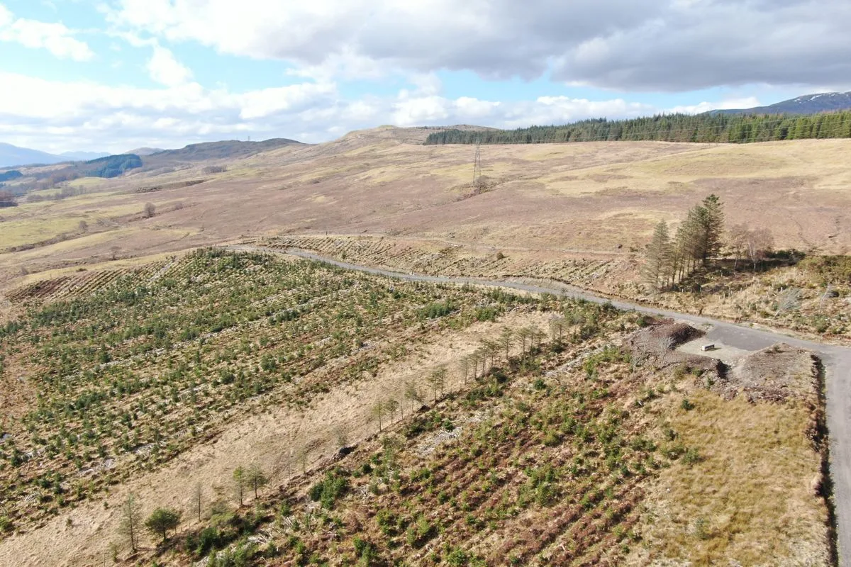 Plot of Land