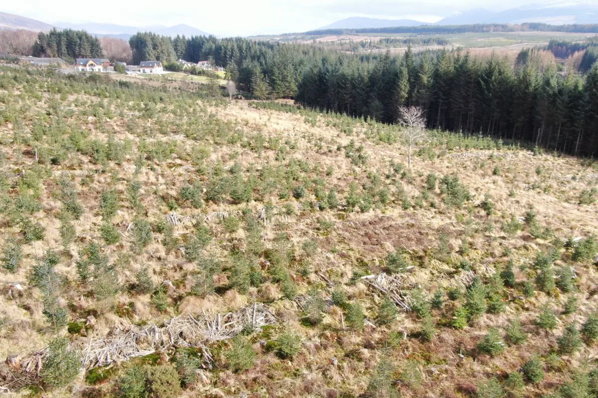 Plot of Land
