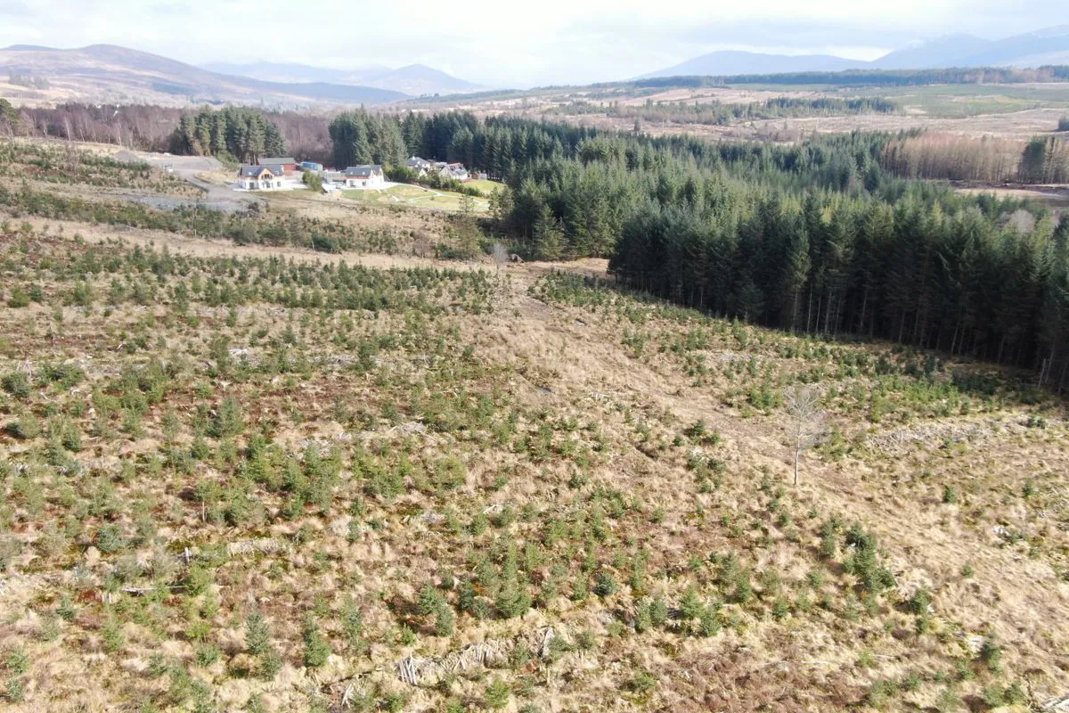 Plot of Land