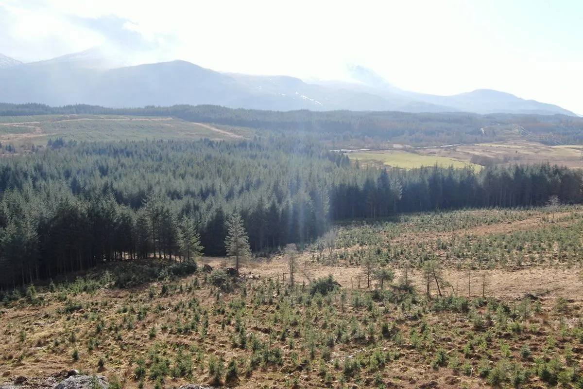 Plot of Land