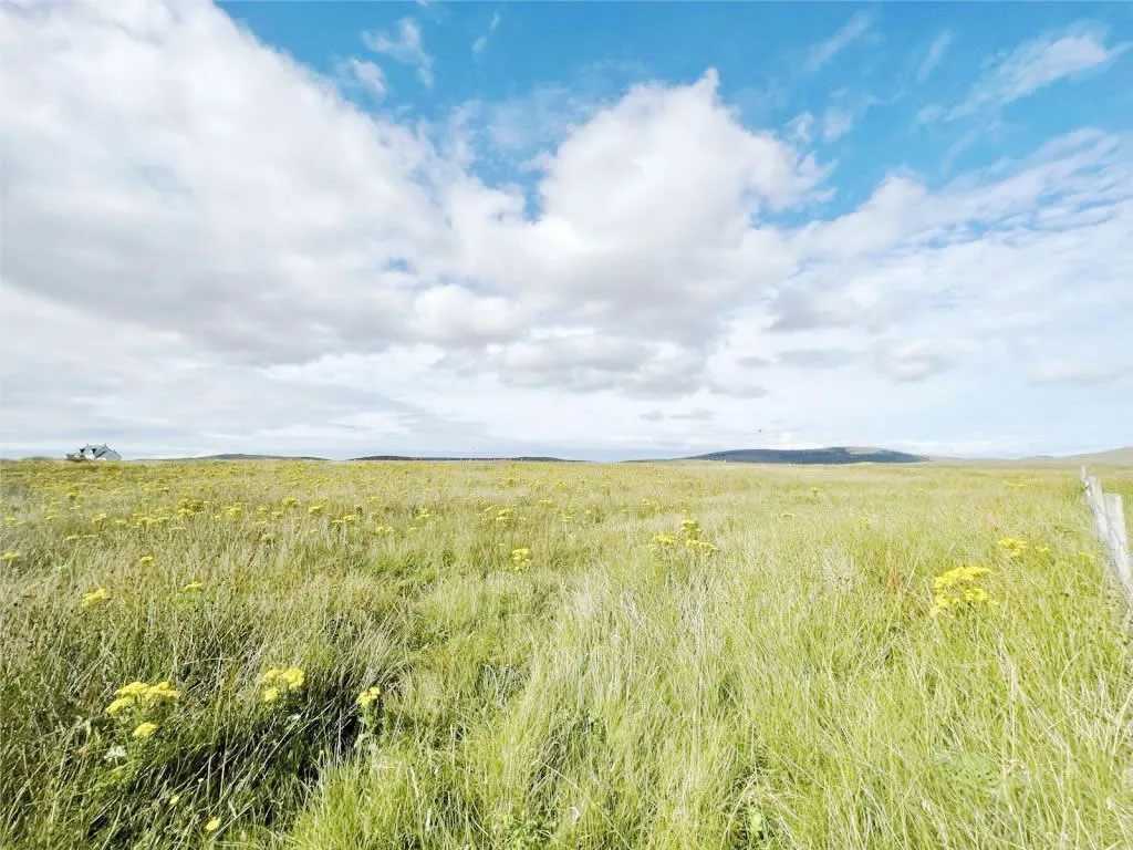 Plot of Land