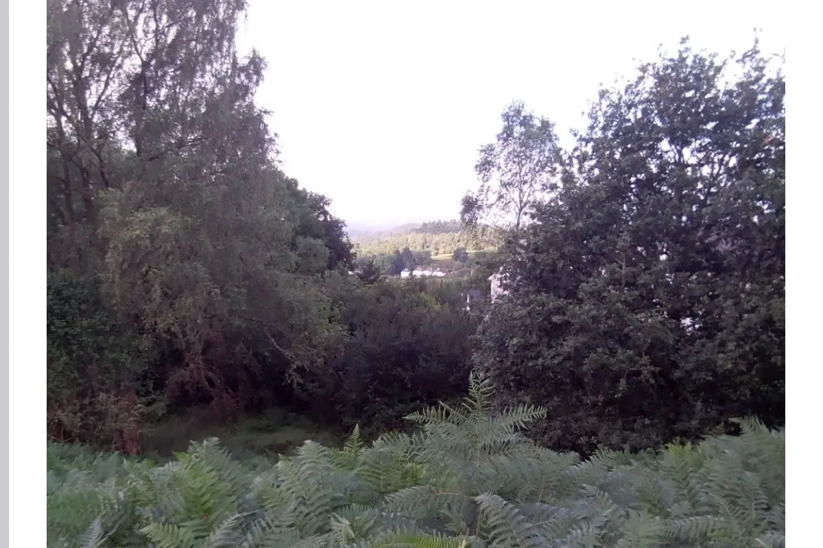 Plot of Land