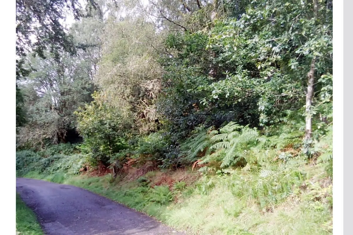 Plot of Land
