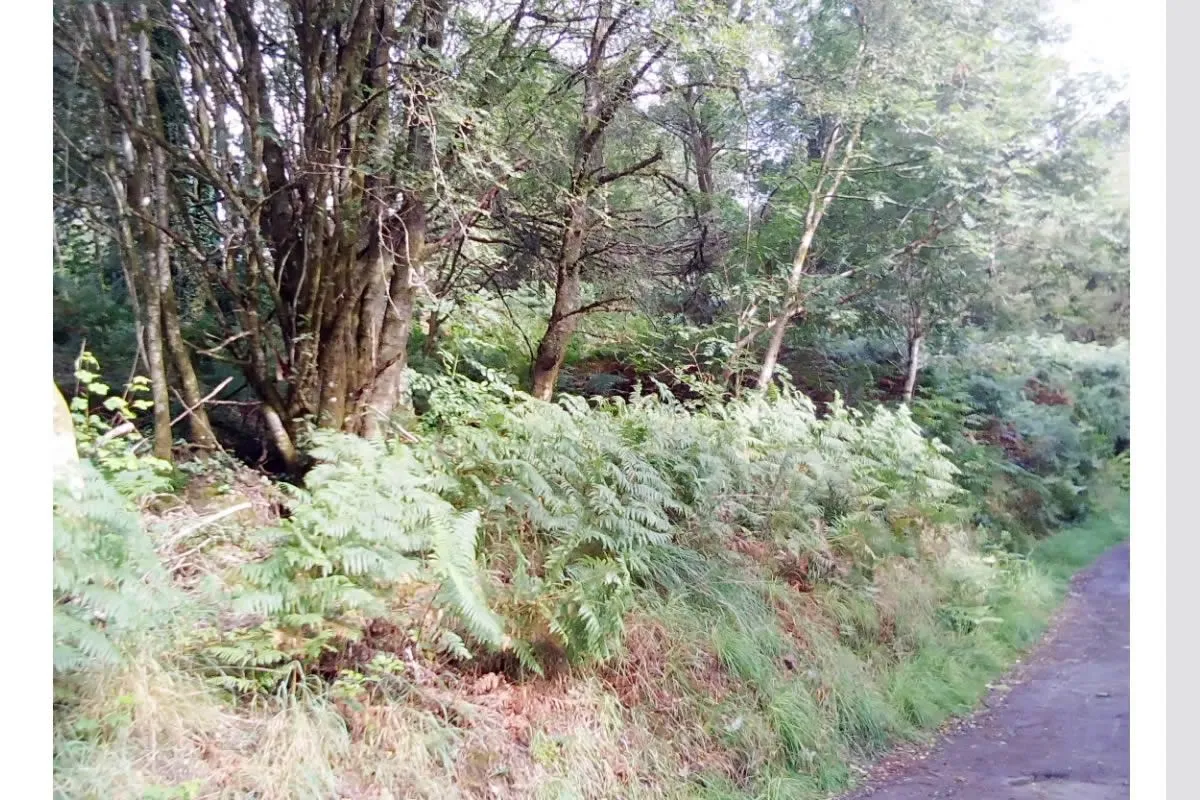 Plot of Land