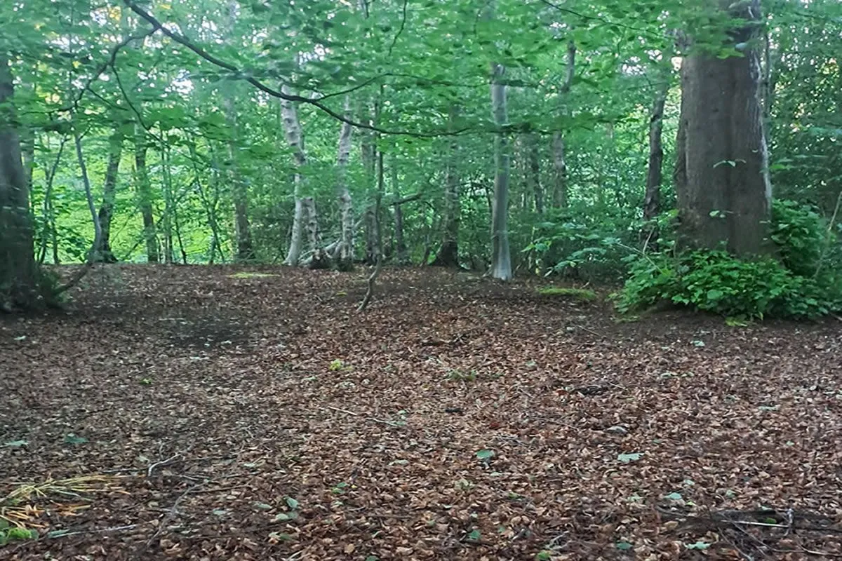 Plot of Land