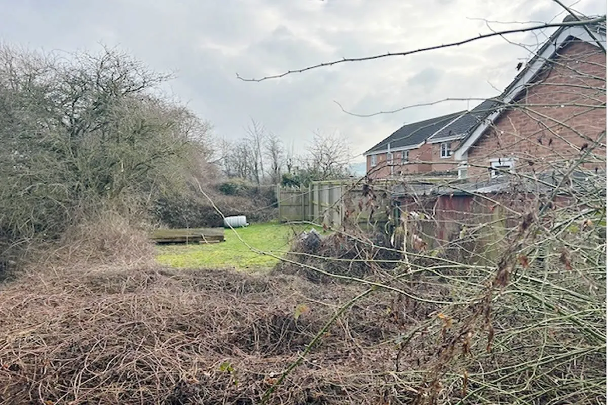 Plot of Land