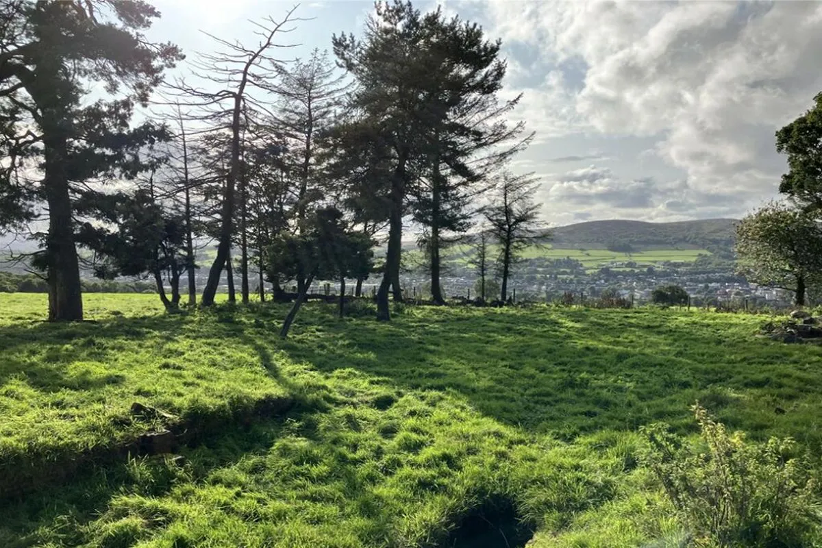 Plot of Land