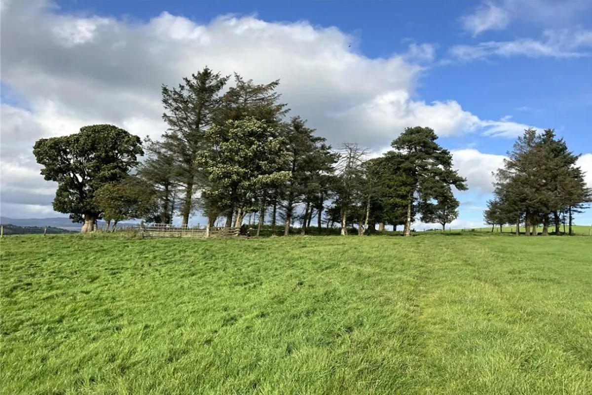 Plot of Land