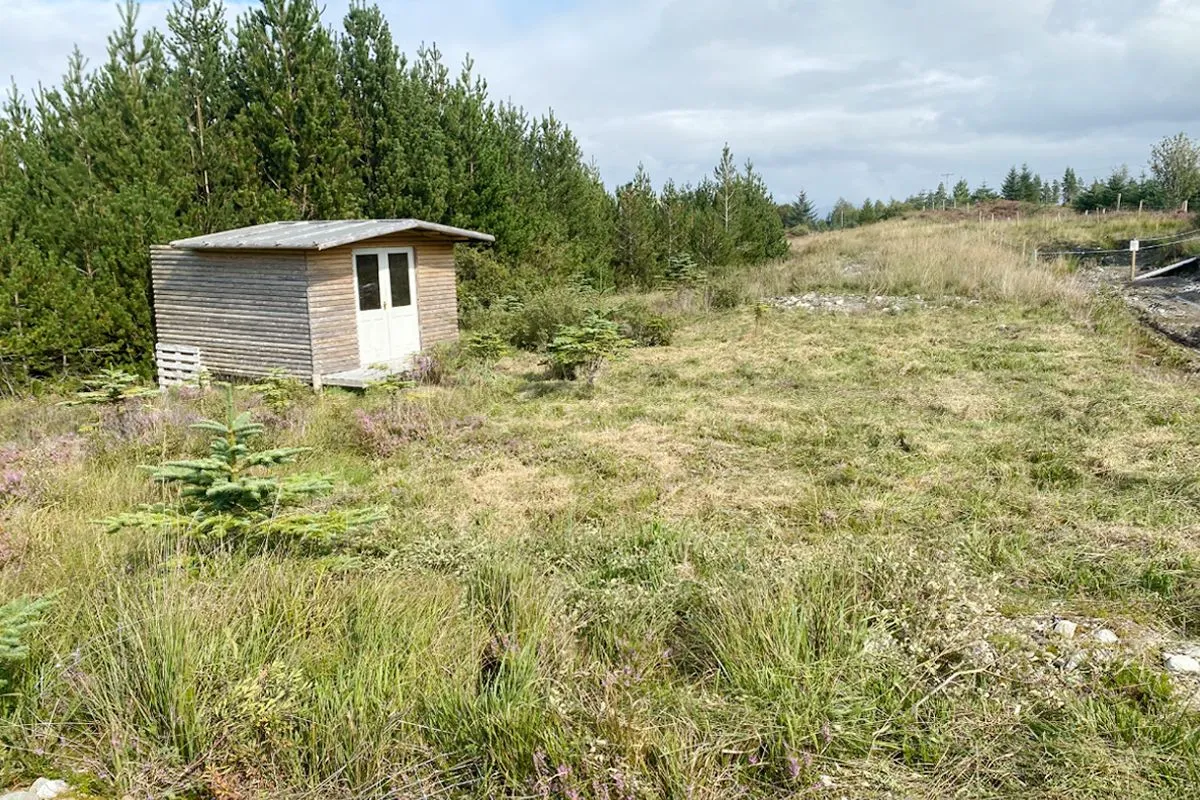 Plot of Land