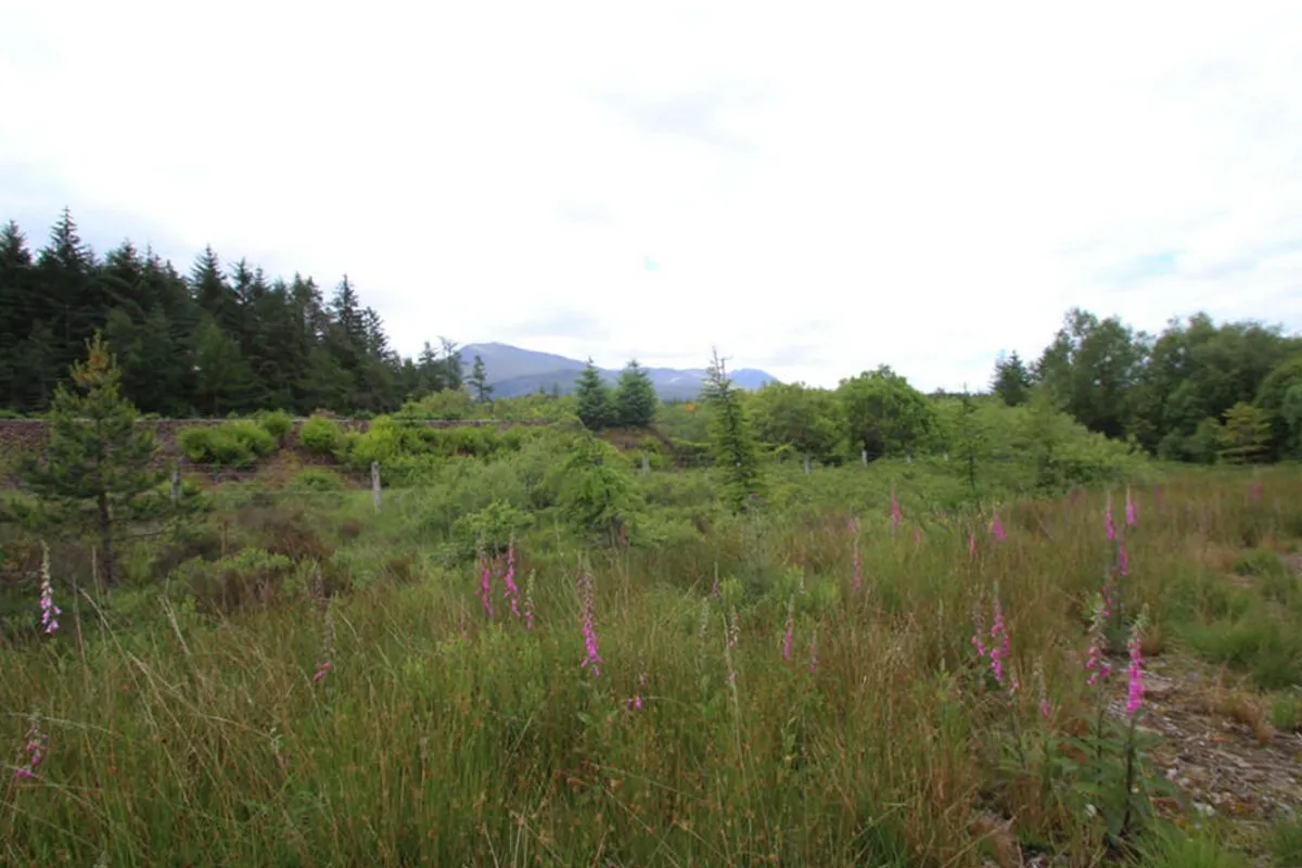 Plot of Land