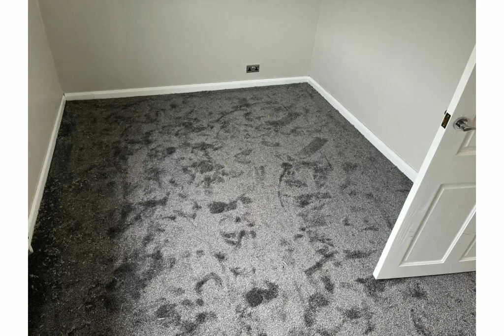 Carlisle, Cumbria, CA2 4BY - Online Auctions