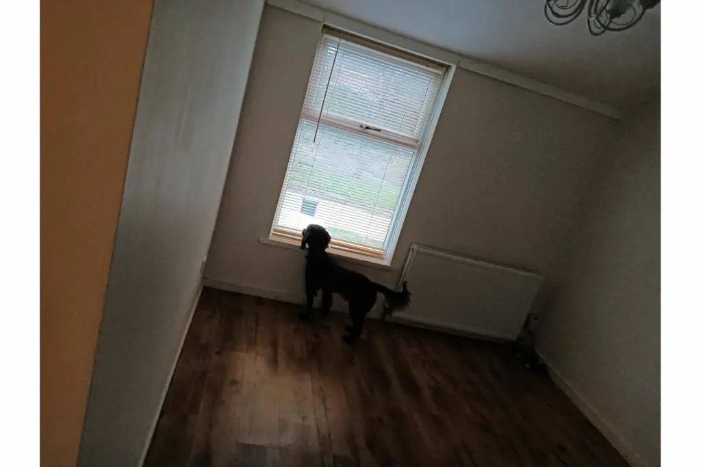 Rubery, Rednal, Birmingham, West Midlands, B45 0JE - Online Auctions