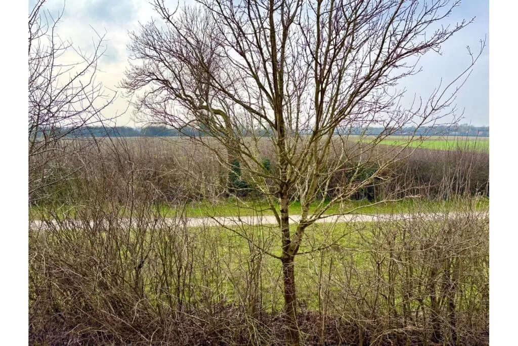 Witham St. Hughs, Lincoln, Lincolnshire, LN6 9ZH - Online Auctions