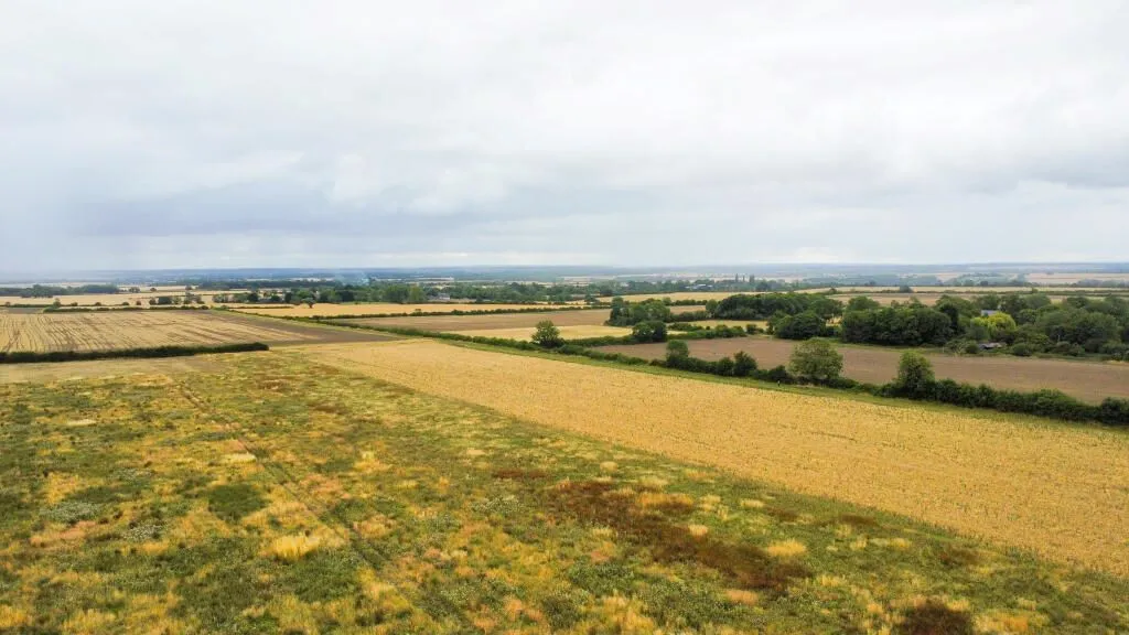 Wilden Road, Colmworth, Bedford, Bedfordshire, MK44 2NJ - Online Properties
