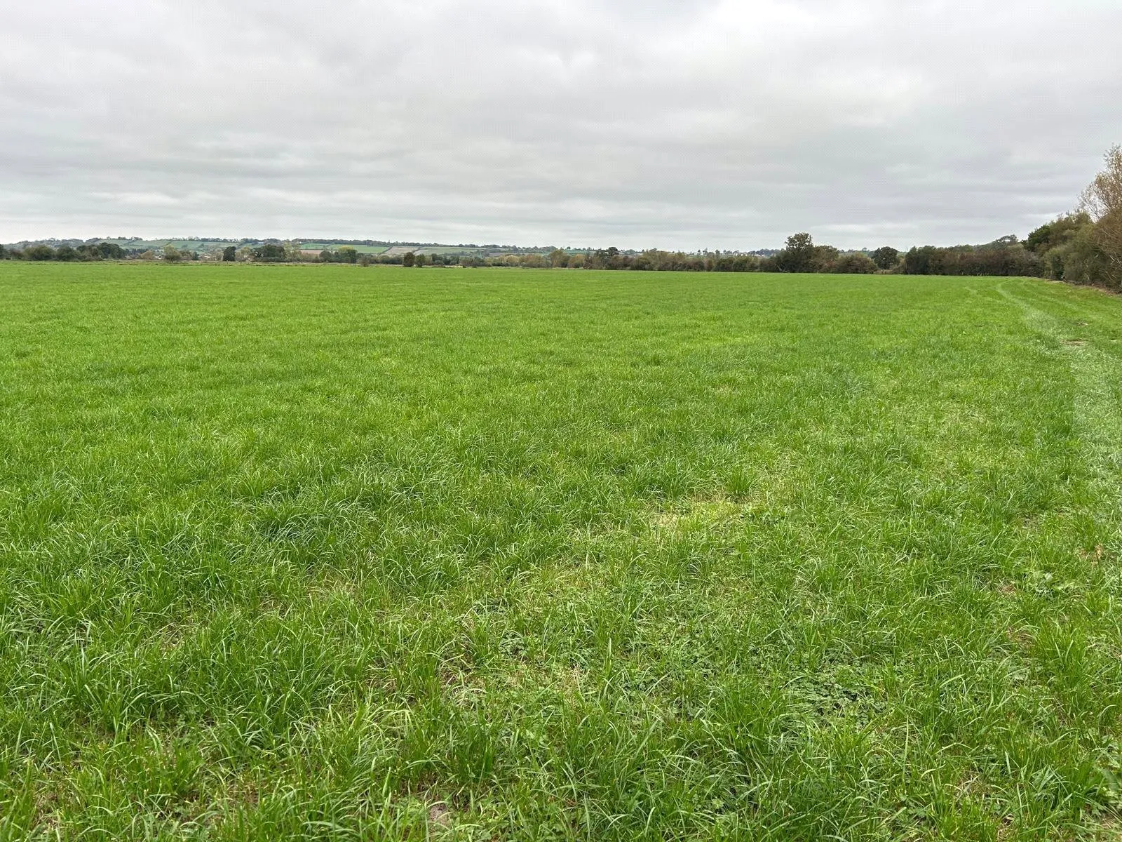 Nythe Road, High Ham,, Langport, TA7