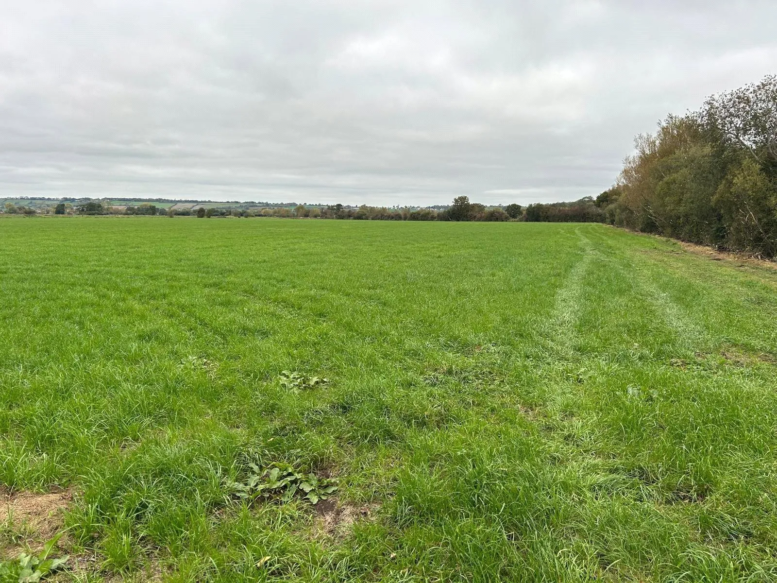 Nythe Road, High Ham,, Langport, TA7